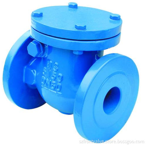 Cast Iron/Ductile Iron Flanged Swing Check Valves